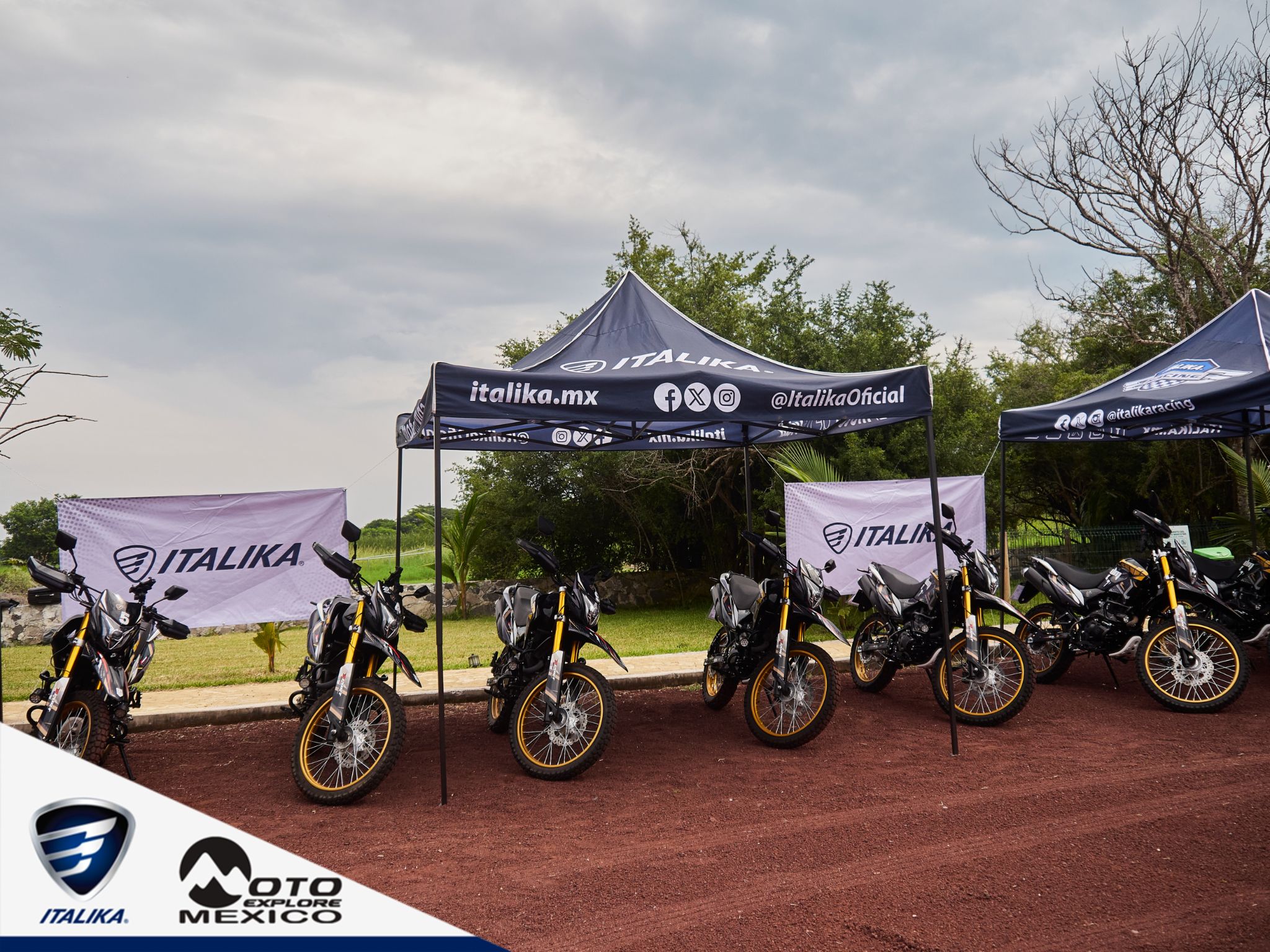 ITALIKA CHACHALACAS D1 552